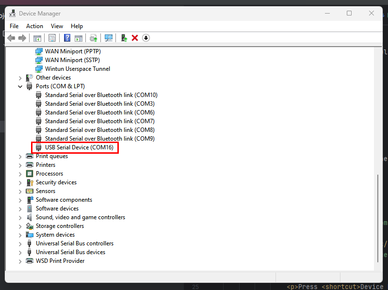 Picture highlighting the new com port that appeared